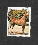 Stamps : Asia : United_Arab_Emirates :  Mi1007A - Caballo