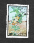 Stamps Mongolia -  668 - Escarabajo