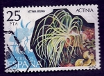 Stamps Spain -  ACTINIA