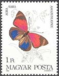 Stamps Hungary -  Mariposas