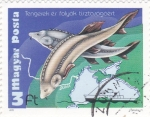 Stamps Hungary -  PESCA EN MARES Y RIOS