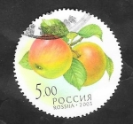 Stamps Russia -  6751 - Manzanas