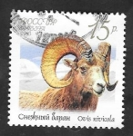 Stamps Russia -  7365 - Cabra salvaje