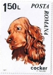Stamps Romania -  Perros 71, Cocker-Spaniel (Canis lupus familiaris)