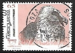 Stamps Spain -  América - Aves en peligro de extinción