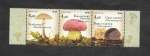 Stamps : Europe : Croatia :  880a-880b-880c - Setas y Tubérculos