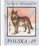 Stamps Poland -  PERRO LOBO
