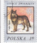 Sellos de Europa - Polonia -  PERRO LOBO