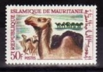 Stamps Mauritania -  221 - Camello