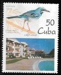 Stamps Cuba -  Cuba-cambio