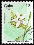 Stamps Cuba -  Cuba-cambio