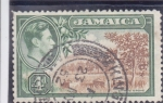 Stamps Jamaica -  ARBOLES CITRICOS