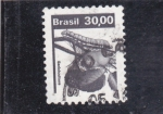 Sellos de America - Brasil -  ORUGA