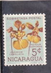 Sellos de America - Nicaragua -  FLORES- CEBOLLETA