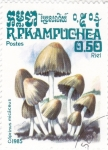 Stamps Cambodia -  SETAS