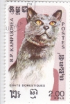 Stamps Cambodia -  GATO DOMÉSTICO