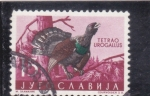Stamps Yugoslavia -  UROGALLO