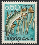 Stamps Yugoslavia -  1123 - Pez esox lucius