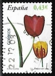 Sellos de Europa - Espaa -  Flora y Fauna - Tulipán