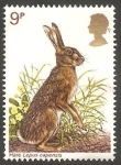 Stamps United Kingdom -  836 - Liebre
