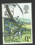 Stamps United Kingdom -  886 - Planta salvaje