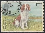 Stamps United Kingdom -  881 - Perro de raza