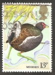 Stamps United Kingdom -  924 - Pollo de agua