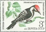 Stamps Russia -  Pájaros