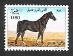 Stamps Algeria -  813 - Caballo Pura Sangre Árabe