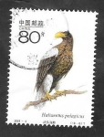 Sellos de Asia - China -  3880 - Fauna proteguida