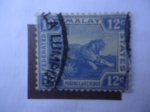 Stamps Malaysia -  Malasia-Estados Federales - Tigre (Panthera Tigris)
