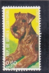 Sellos de Africa - Guinea Ecuatorial -  perro de raza- Terrier