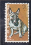 Sellos de Africa - Guinea Ecuatorial -  perro de raza- Bull-Terrier