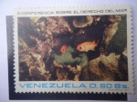 Stamps Venezuela -  III Conferencia sobre el Derecho del Mar - Arrecife de Cora