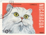 Stamps Nicaragua -  gato chinchilla 