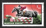 Stamps Hungary -  Equitación