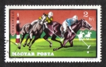 Stamps Hungary -  Equitación