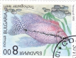 Sellos de Europa - Bulgaria -  pez tropical- trichogaster leeri