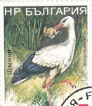 Stamps Bulgaria -  ave- cigüeña