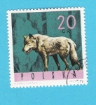 Sellos de Europa - Polonia -  LOBO