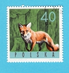 Stamps Poland -  ZORRO