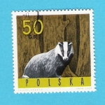 Stamps Poland -  POLSKA