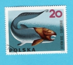 Stamps Poland -  DINICHTHYS  380  MLN  LAT