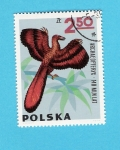 Stamps Poland -  ARCHAEOPTERYX  140  MLN  LAT