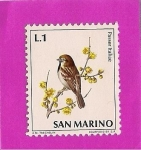 Sellos de Europa - San Marino -  