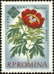 Sellos de Europa - Rumania -  Centenario de los jardines botánicos de Bucarest,Peonía (Paeonia peregrina Mill. Var. Romanica) 