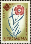 Stamps Romania -  Centenario de los jardines botánicos de Bucarest,Piatra Craiului rosa (Dianthus callizonus)  