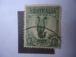 Stamps Australia -  Super Lyrebird (Menura novaehollandiae)