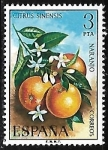 Stamps Spain -  Flora - Naranjo
