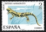 Stamps Spain -  Fauna Hispánica - Triton